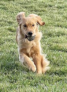 Crescent Oh the Places You'll Go! aka bixby