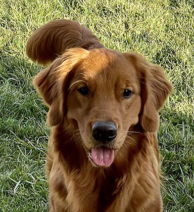 Crescent Oh the Places You'll Go! aka bixby